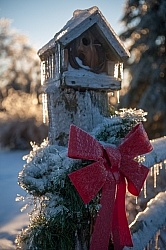 Winter Holiday Theme