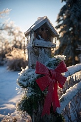 Winter Holiday Theme