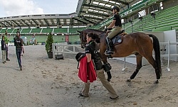 Belinda Trussell and Anton get used to the man ring on warm up day WEG 2014 Normandy