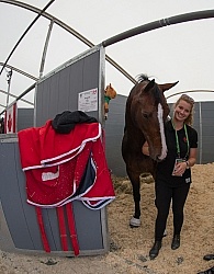 Caravella WEG 2014 Normandy