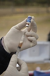 West Nile Vaccine