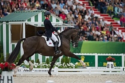 Charlotte Dujardin and Valegro Grand Prix Special WEG 2014 Norma