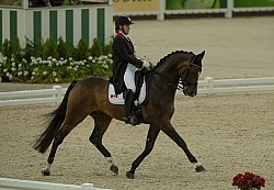 Karen Pavicic and Don Dacquiri Team Grand Prix WEG 2014 Normandy