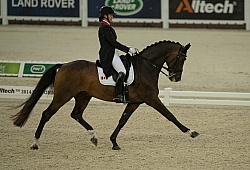 Karen Pavicic and Don Dacquiri Team Grand Prix WEG 2014 Normandy