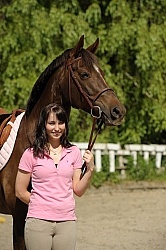 Clean Horse, English bridle Clean Horse