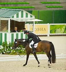 Karen Pavicic and Don Dacquiri Team Grand Prix WEG 2014 Normandy