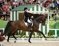 Belinda Trussell and Anton Team Grand Prix WEG 2014 Normandy, Fr