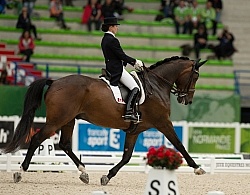 Belinda Trussell and Anton Team Grand Prix WEG 2014 Normandy, Fr
