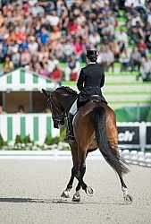 Belinda Trussell and Anton Grand Prix Special WEG 2014 Normandy,