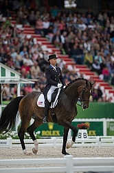 WEG 2014 Normandy