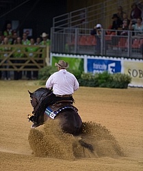 Shawn Flarida and Spooks Gotta Whiz Indivudual Final Winner WEG