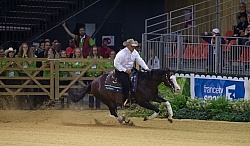 Shawn Flarida and Spooks Gotta Whiz Indivudual Final Winner WEG