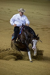Shawn Flarida and Spooks Gotta Whiz Indivudual Final Winner WEG
