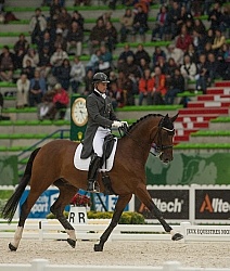 Roland Tong IRL and Pompidou Team Grand Prix WEG 2014 Normandy