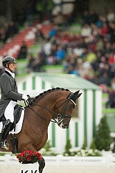 Roland Tong IRL and Pompidou Team Grand Prix WEG 2014 Normandy