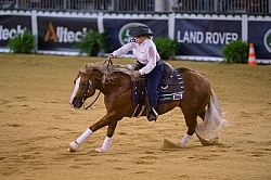 Mandy McCutcheon and Yellow Jersey Bronze Ind Reining WEG 2014 N