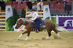 Mandy McCutcheon and Yellow Jersey Bronze Ind Reining WEG 2014 N