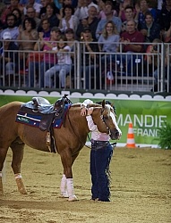 Mandy McCutcheon and Yellow Jersey Bronze Ind Reining WEG 2014 N