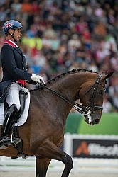 WEG 2014 Normandy