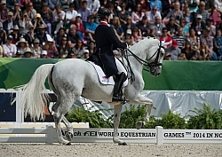 Michael Eilberg and Half Moon Delphi Grand Prix Freestyle WEG 20
