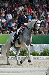 Michael Eilberg and Half Moon Delphi Grand Prix Freestyle WEG 20