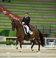Gareth Hughes and DV Stenkjers Nadonna Grand Prix WEG 2014 Norma