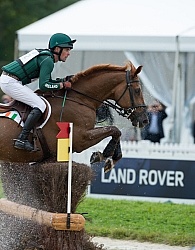 Joseph Murphy and Electric Cruise on course at WEG 2014 Normandy