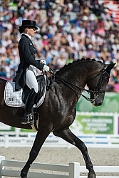 WEG 2014 Normandy