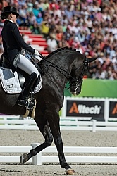 WEG 2014 Normandy