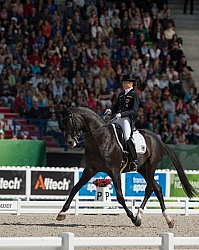 WEG 2014 Normandy