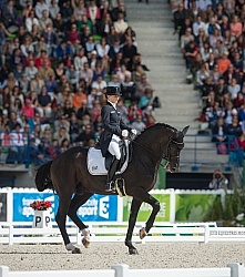 WEG 2014 Normandy