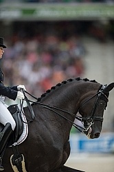 Kristina Sprehe and Desperados FRH Grand Prix Special WEG 2014 Normandy, France