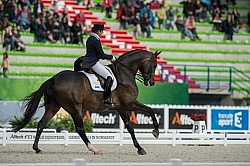 Tinne Vilhelmson Silfven and Don Auriello Team Grand Prix WEG 20
