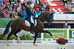 Diederik van Silfhout and Arlando NH N.O.P. Freestyle WEG 2014 N