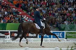 Diederik van Silfhout and Arlando NH N.O.P. Freestyle WEG 2014 N