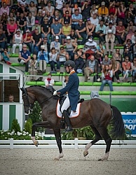 Diederik van Silfhout and Arlando NH N.O.P. Grand Prix Special W