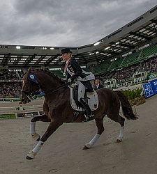 Grand Prix Special Awards WEG 2014 Dressage