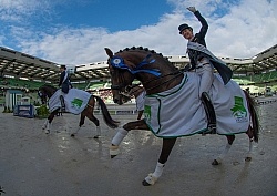 WEG 2014 Normandy