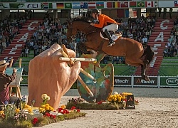 Jeroen Dubbeldam and Zenith SFN WEG 2014 Normandy, France Jeroen Dubbeldam and Zenith SFN WEG 2014 Normandy, France