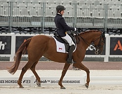 Lauren Barwick and Off to Paris WEG 2014 Normandy, France