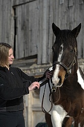 Molasses trick for Deworming