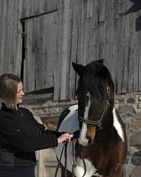Molasses trick for Deworming