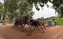 Chester Weber WEG 2014 Normandy, France