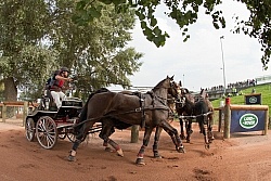 Chester Weber WEG 2014 Normandy, France