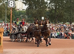 Chester Weber WEG 2014 Normandy, France