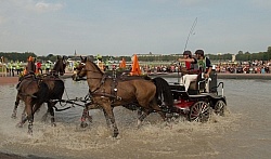 Chester Weber WEG 2014 Normandy, France