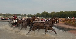 Chester Weber WEG 2014 Normandy, France
