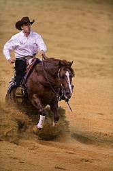 Andrea Fappani and Custom Cash Advance WEG 2014 Normandy