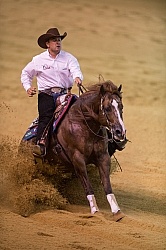 Andrea Fappani and Custom Cash Advance WEG 2014 Normandy