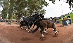Boyd Exell Gold Medal Winner WEG 2014 Normandy